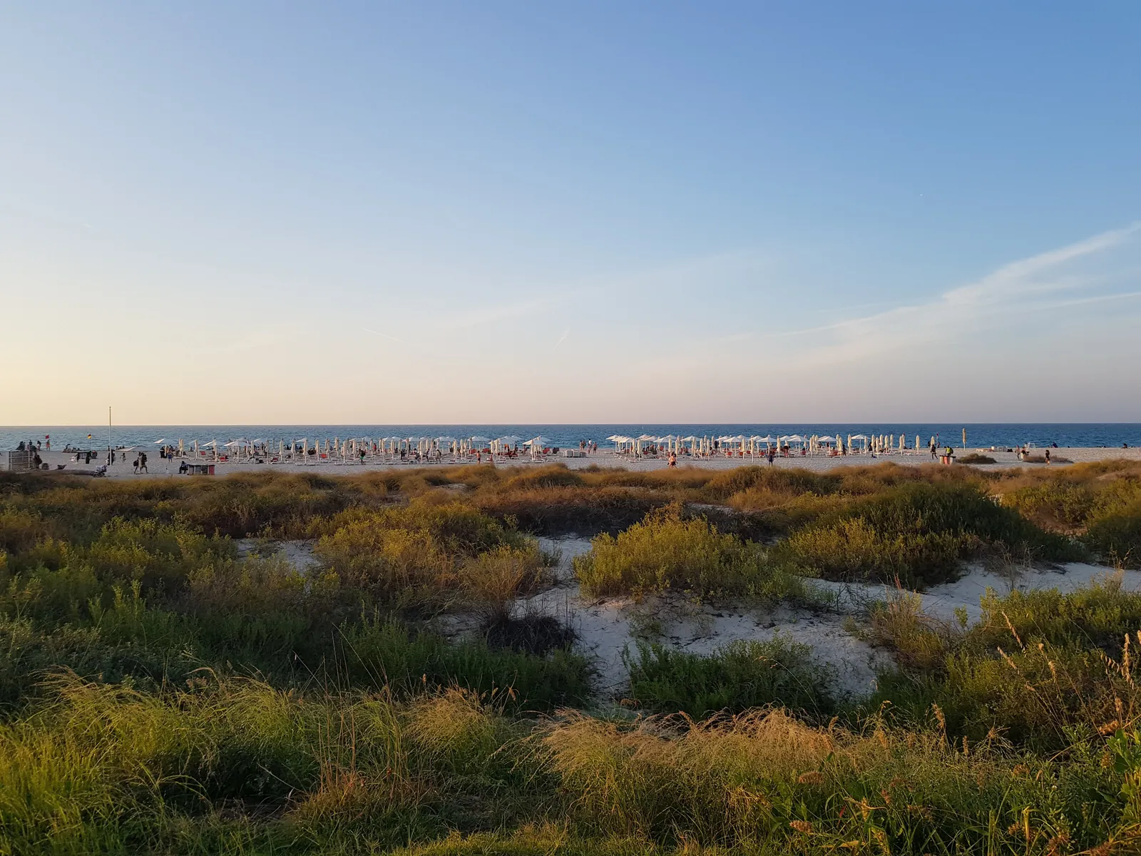 Saadiyat Beach